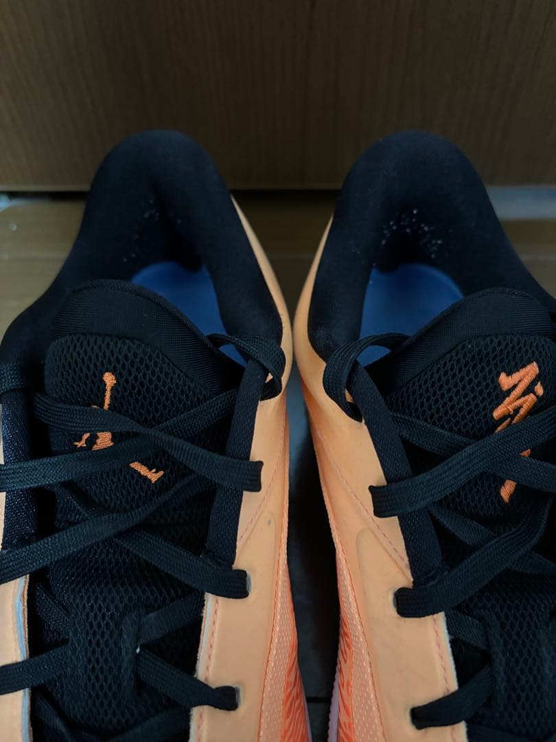 NIKE jordan ザイオン4 Zion4 30cm