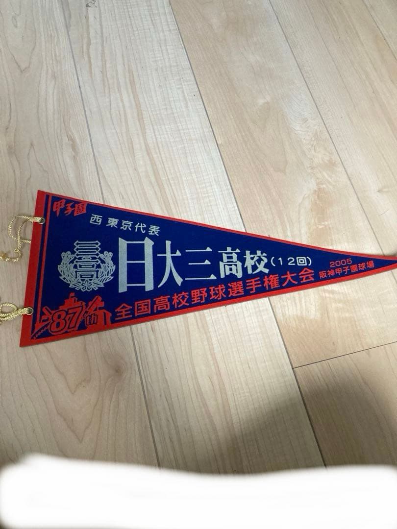 第87回全国高校野球選手権大会　甲子園出場校ペナント　まとめ売り