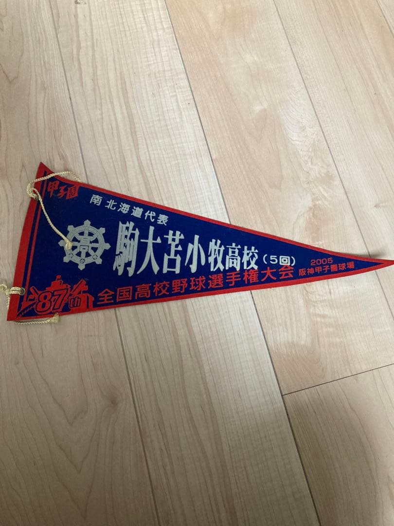 第87回全国高校野球選手権大会　甲子園出場校ペナント　まとめ売り