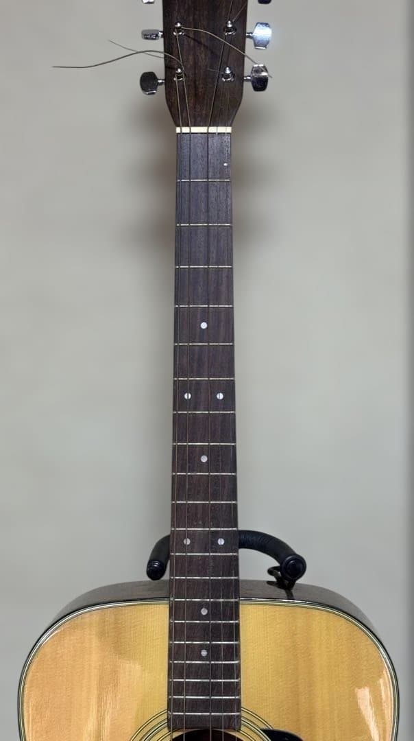 Morris アコースティックギター