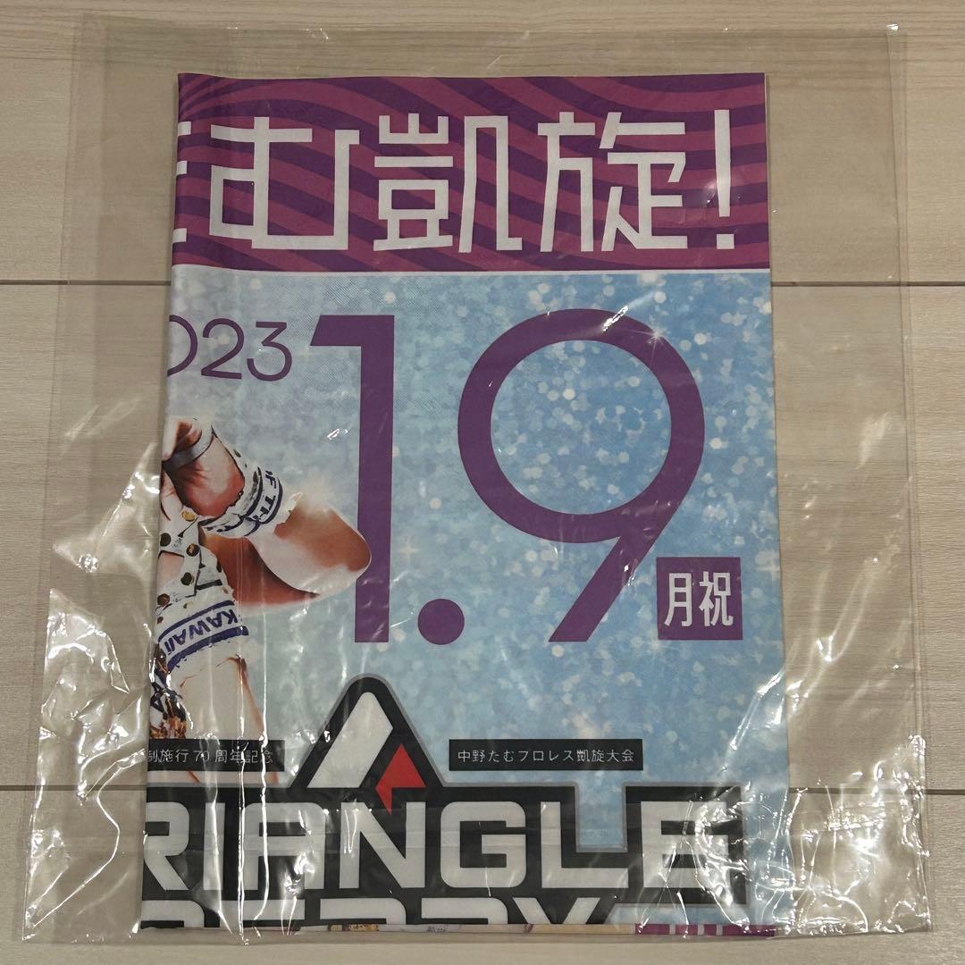 中野たむ スターダム 凱旋大会 最前列特典 フラッグ