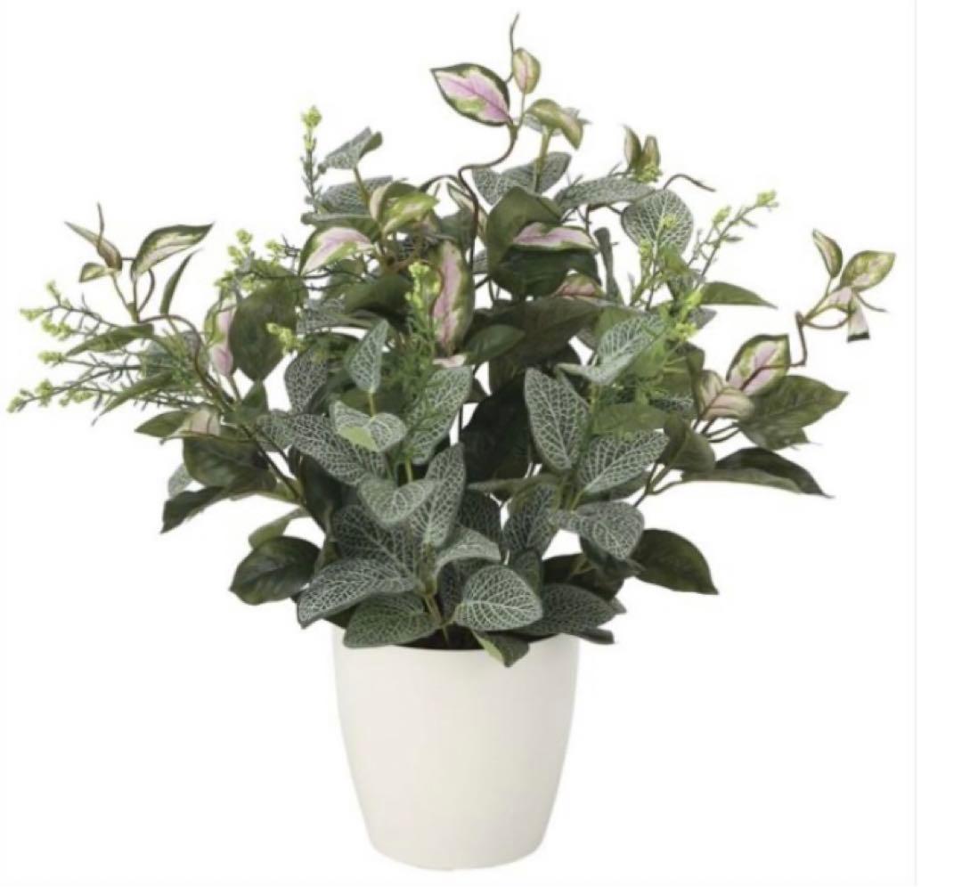 光触媒　人工観葉植物　ウォールグリーン　フェイクグリーン　ミックスフィットニア