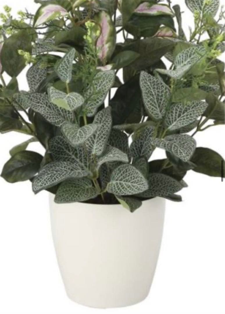 光触媒　人工観葉植物　ウォールグリーン　フェイクグリーン　ミックスフィットニア
