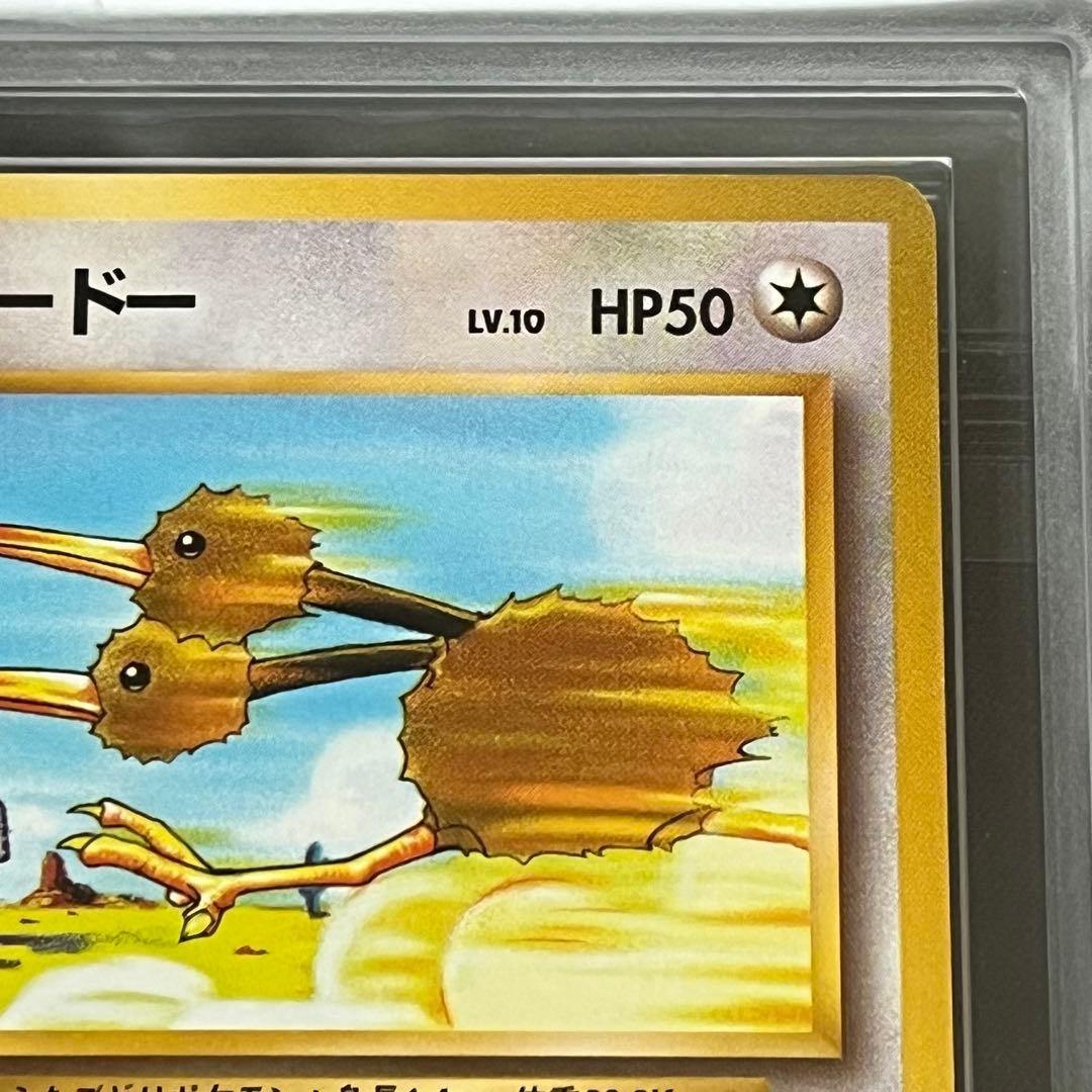【ARS9】ポケモンカード　旧裏　ドードー　初版　マークなし