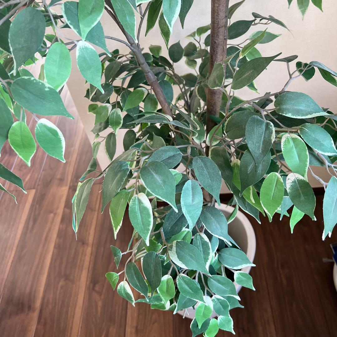 専用　人工観葉植物 約150cm 緑色 白鉢