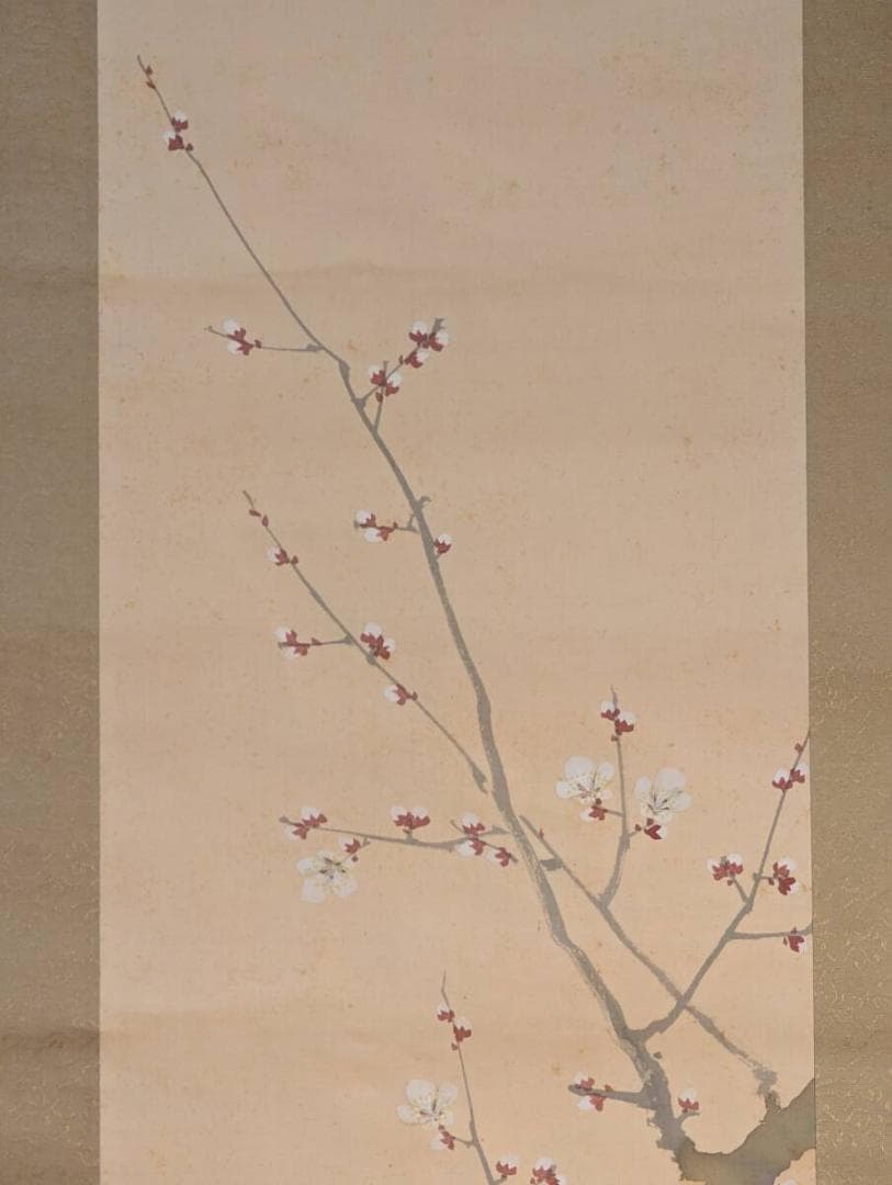 【真作】掛軸　尾竹竹坡　梅に小鳥図　早春花鳥の趣　合箱入　V142