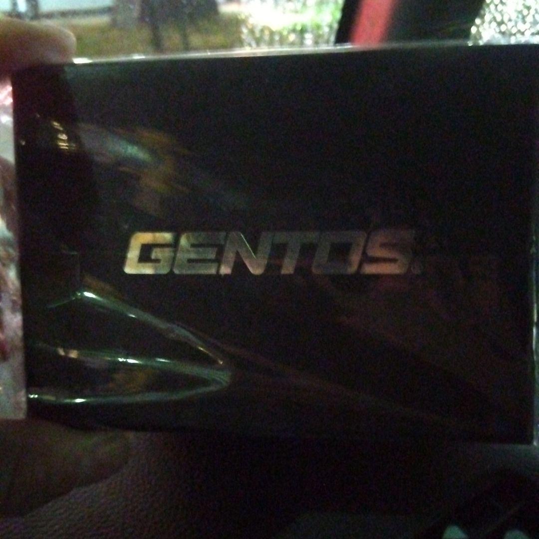 GENTOS GH-118RG USB Type-C ヘッドライト