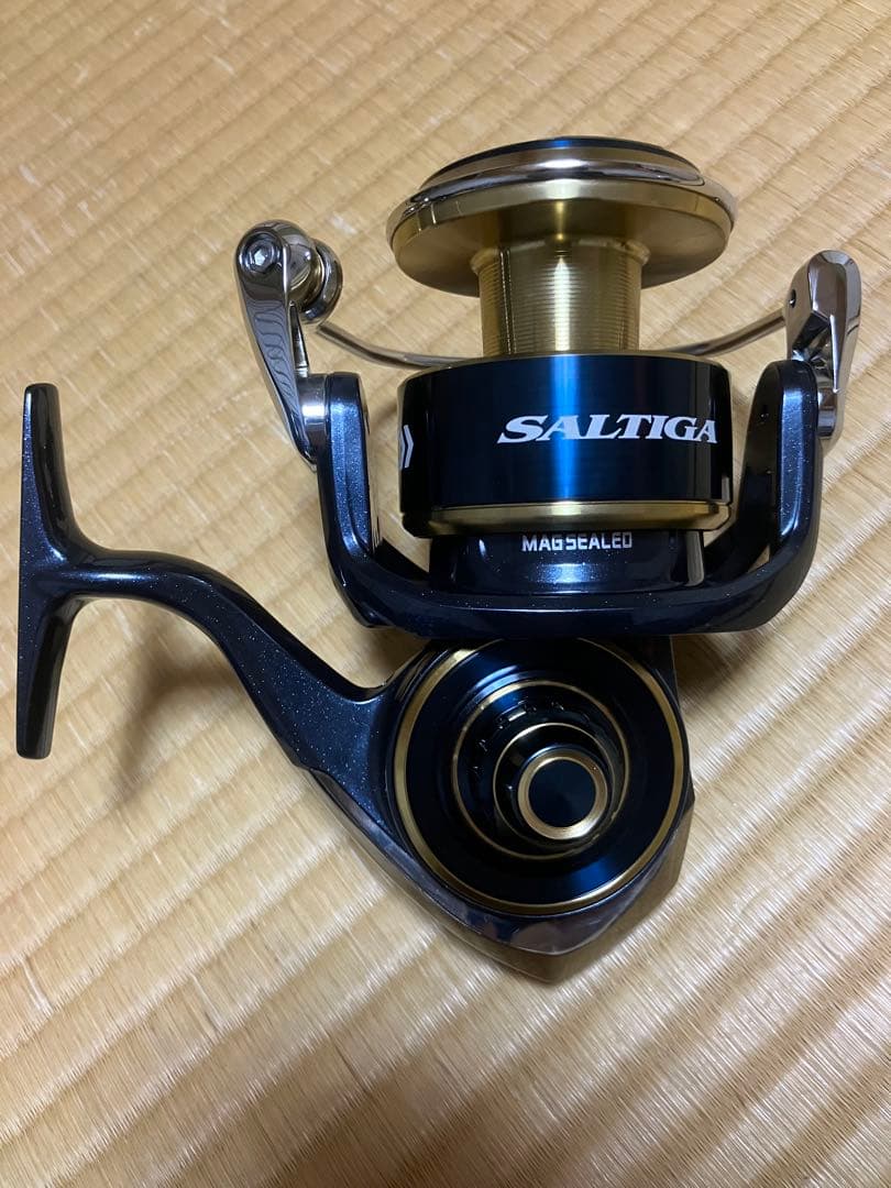 Daiwa ダイワ　20 SALTIGA 20 ソルティガ　10000-H