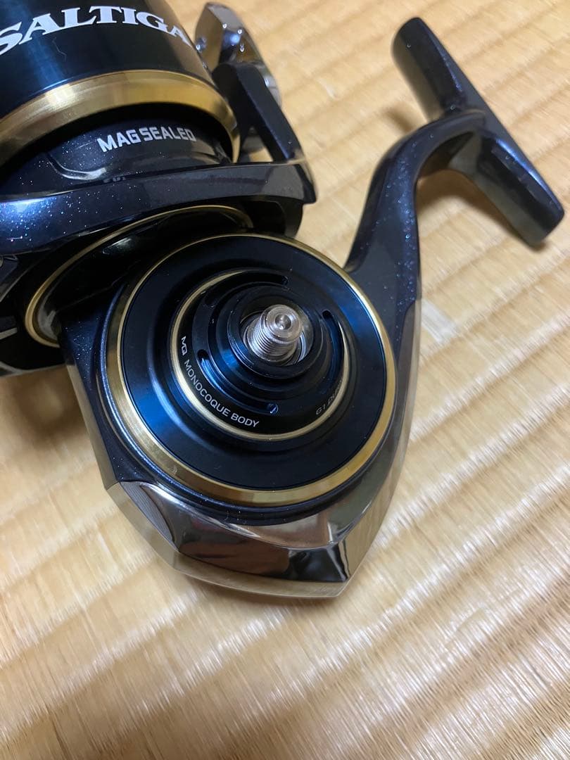 Daiwa ダイワ　20 SALTIGA 20 ソルティガ　10000-H