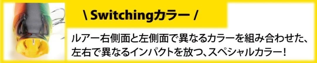 VISION ONETEN スイッチングタイガー EXHIBITION 限定商品