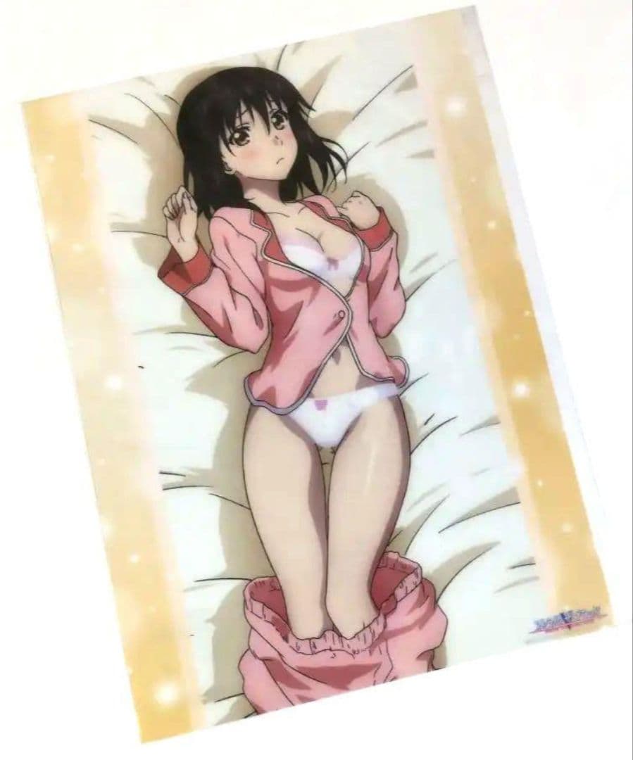 ストライク・ザ・ブラッド くじ引き堂 A3クリアポスター 5点 姫柊雪菜