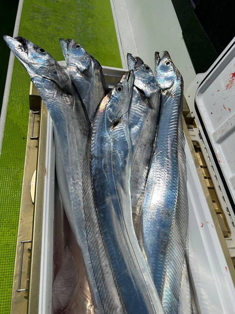 【お値下げしました】ダイワ 船竿 極鋭タチウオテンヤSP 91H-165AGS