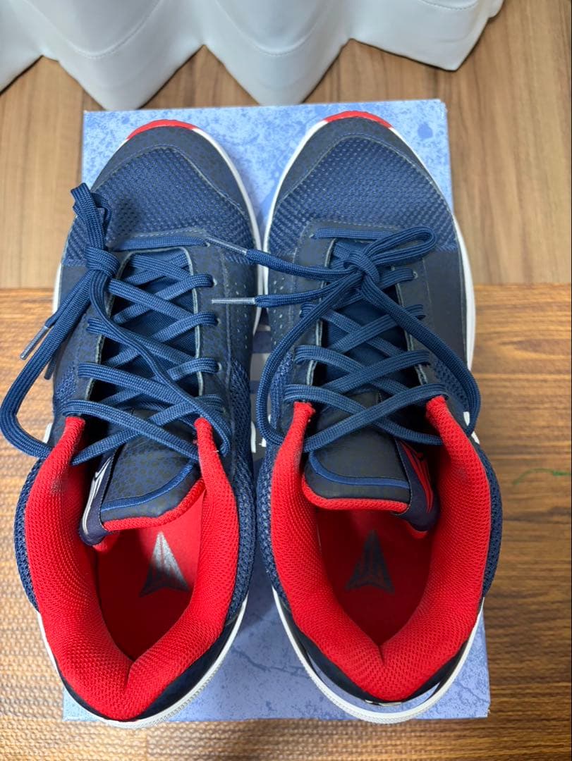 NIKE ナイキ　JA1 EP 30cm Ja 1 USA