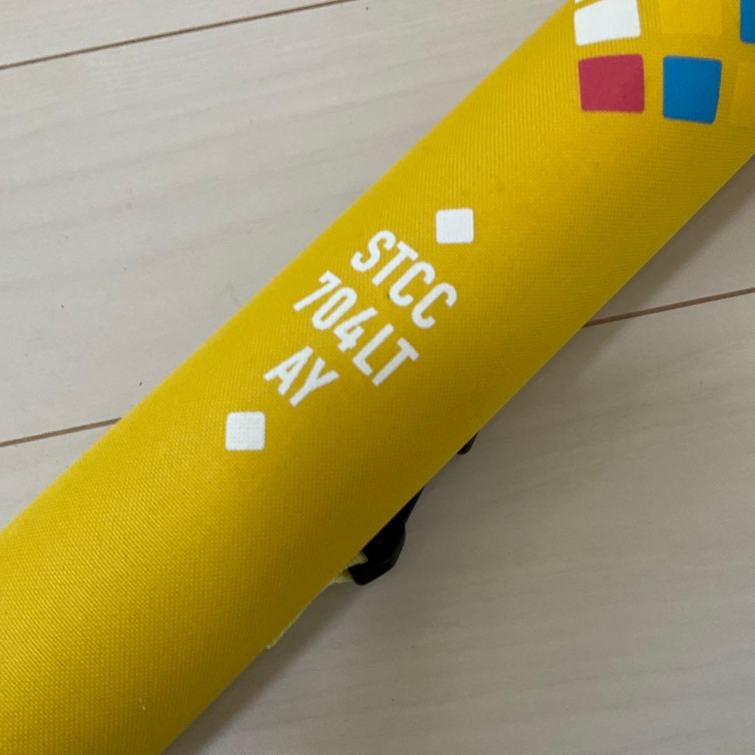 アブガルシア SaltyStyle 704LT-AY　ベイトフィネス