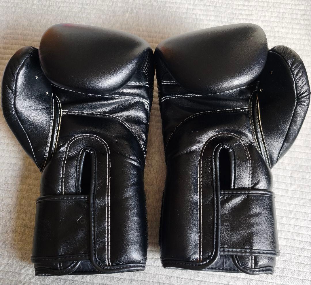 Fairtex フェアテックス BGV14 ボクシンググローブ 16oz