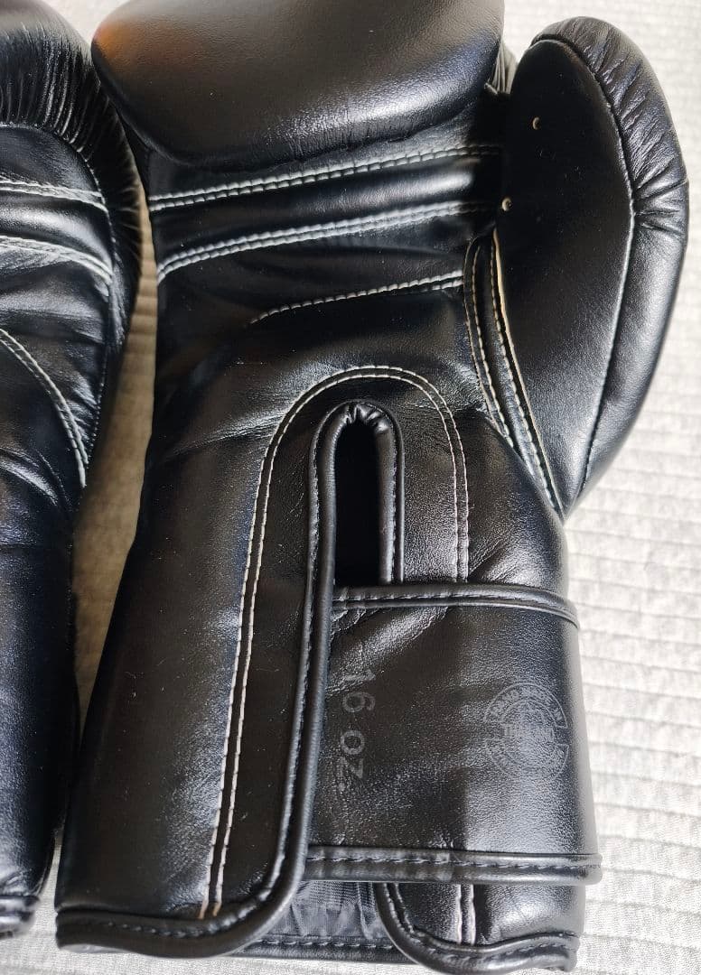 Fairtex フェアテックス BGV14 ボクシンググローブ 16oz