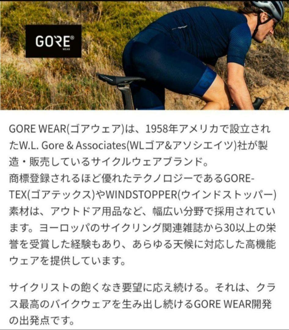 ゴアウェア スカイライン レディース サイクルジャージ シャツ