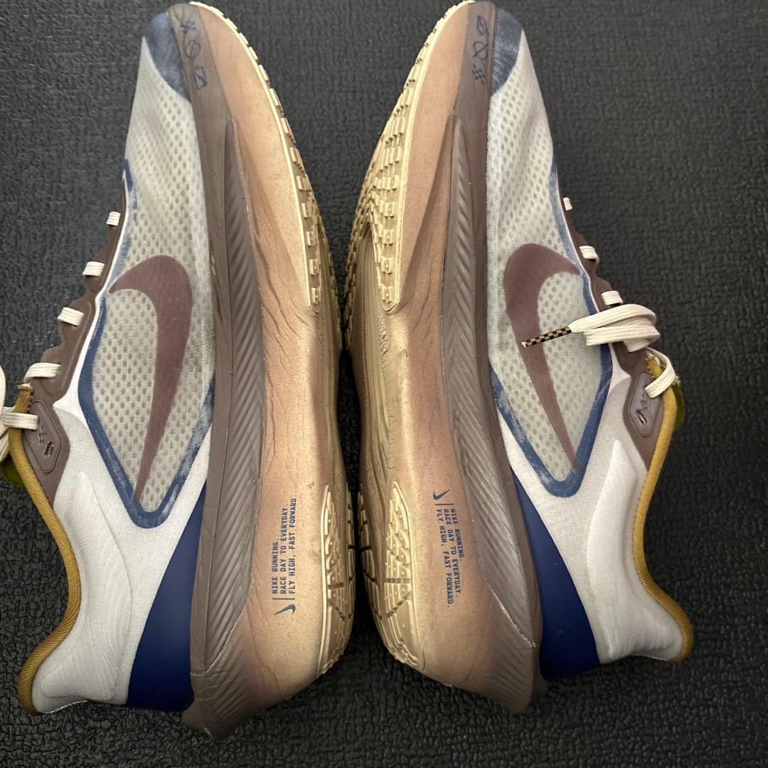 Nike zoom fly6 プレミアム 28cm