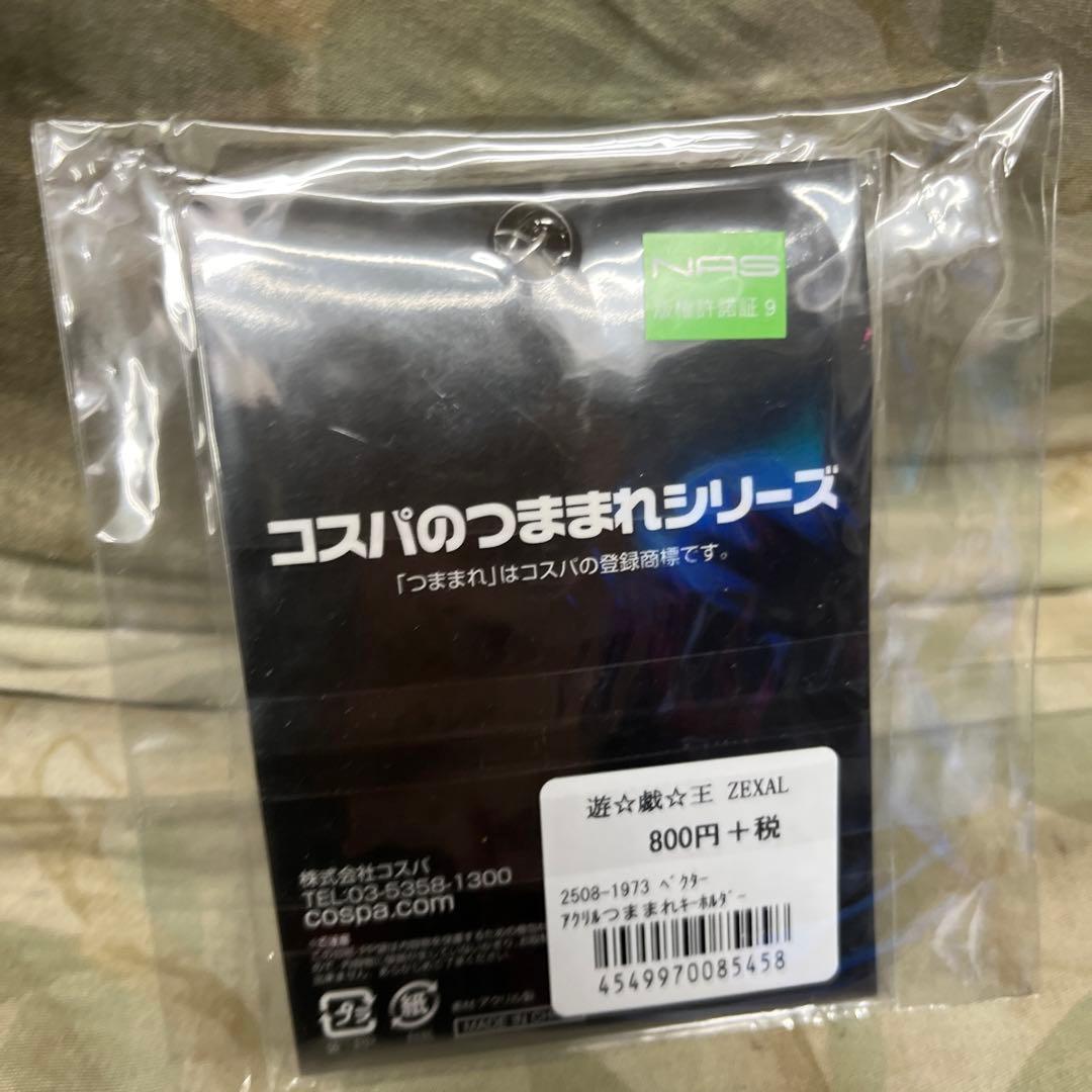 遊戯王ZEXAL ベクター　アクリルつままれキーホルダー 2種セット