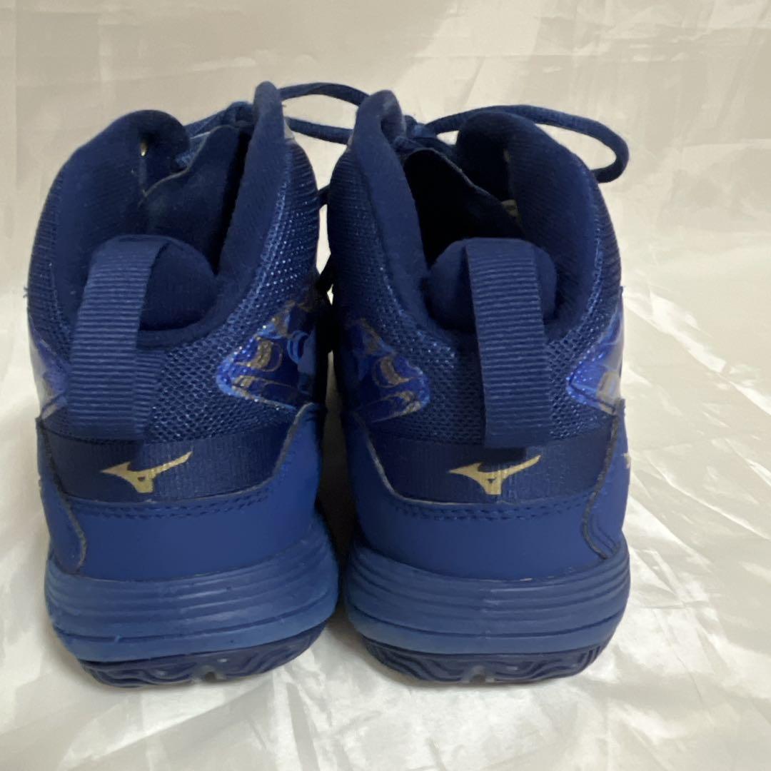 ⭐️MIZUNO⭐️ウエーブダイバースLG3 リミテッド 限定 フィットネスシューズ
