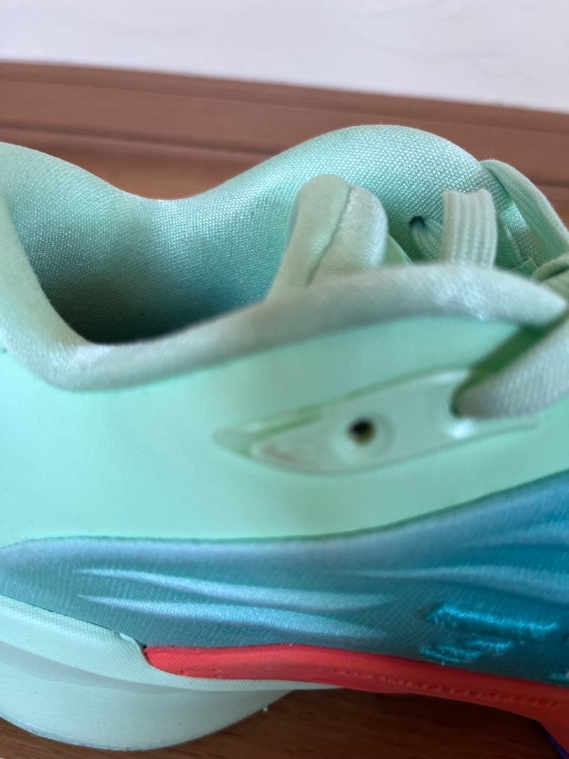 NIKE ナイキ　ジョーダン　ルカ３PF Blurred Vision 27.5