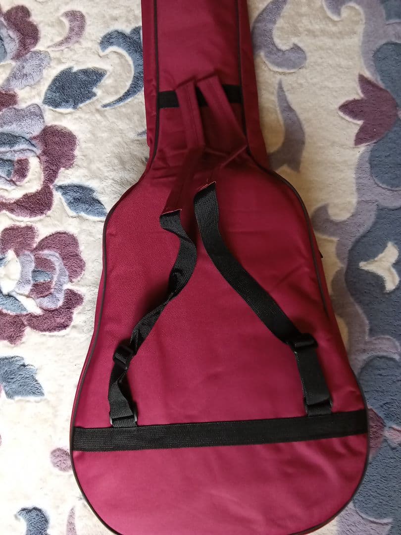 【美品❗】Takamine T-1ATBS 　新品ケース