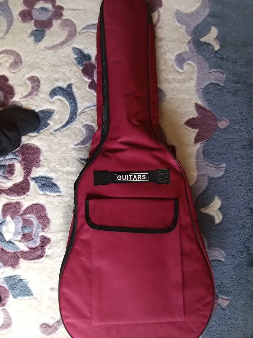 【美品❗】Takamine T-1ATBS 　新品ケース