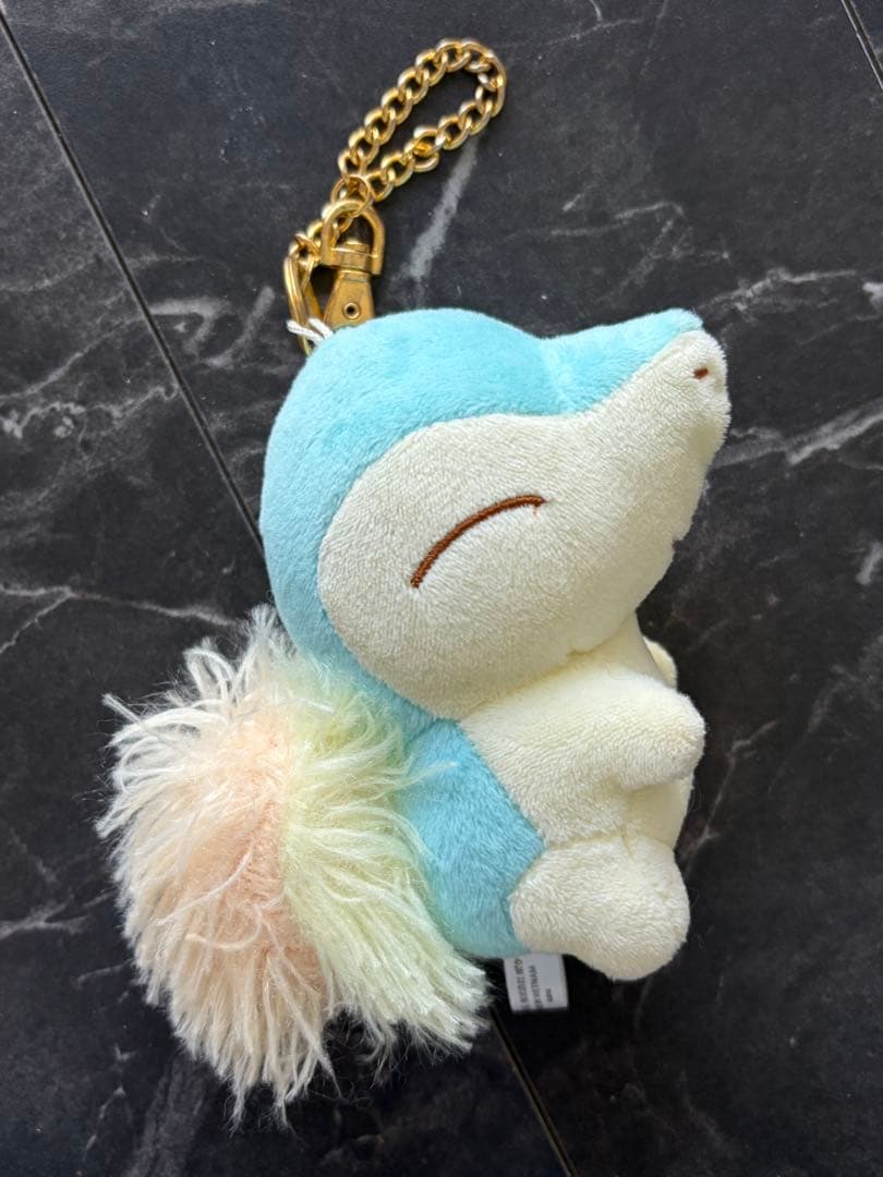 【pokemon】ヒノアラシパステル　チャーム　 Petit Pastel