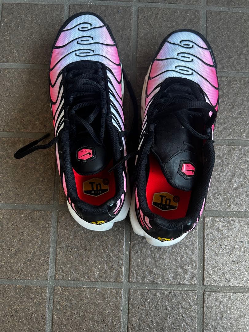 Nike Air Max Plus ピンク/黒 マップラ 25cm