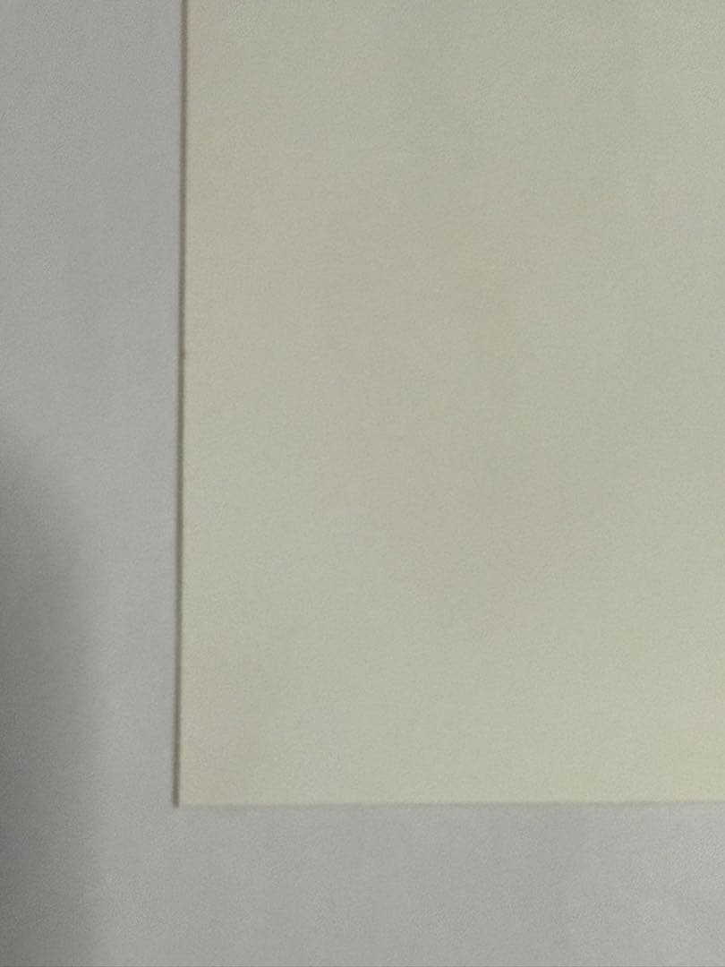 横山由依生写真【非売品】【最終在庫1点限り】【匿名配送】【送料出品者負担】