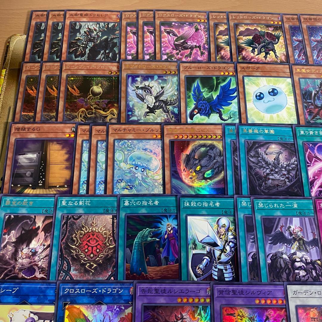 本格構築 ブラックローズドラゴン デッキ 黒薔薇の破滅竜 血樹竜姫ドラセレア