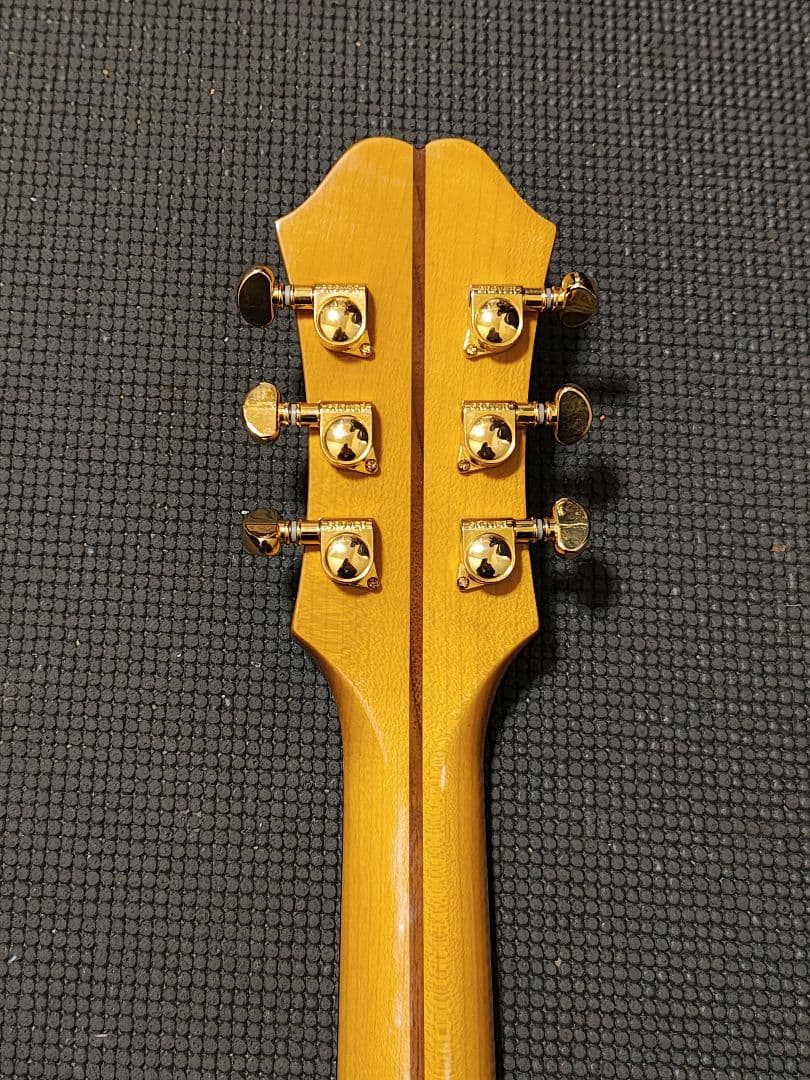 Epiphone EJ-200 Coupe VS/新同品ソフトケース