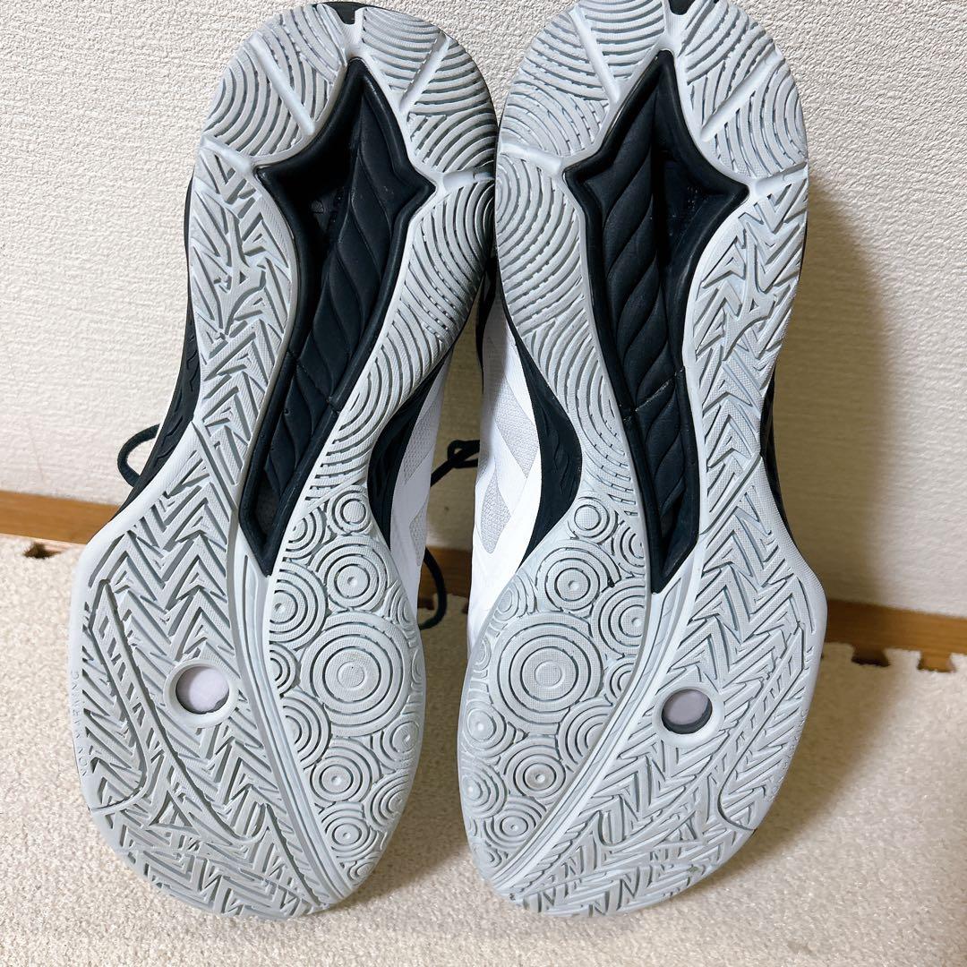 ミズノ MIZUNO バドミントンシューズ ウェーブファングEL2 27.0㎝