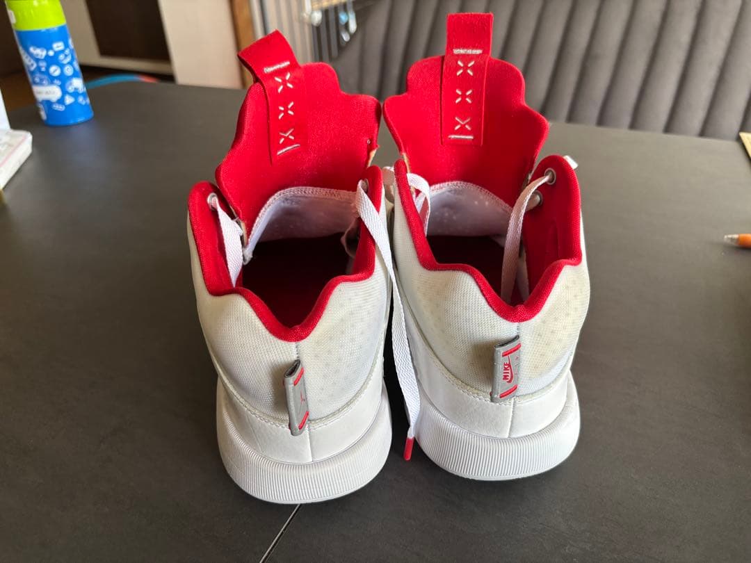 NIKE AIR JORDAN XXXV PF (エアジョーダンxxxv)