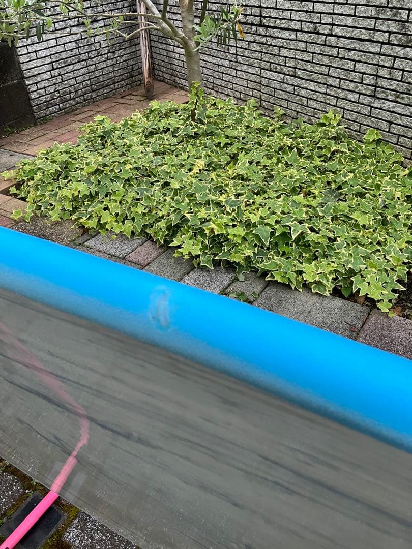 softech roller 7‘ 手渡し