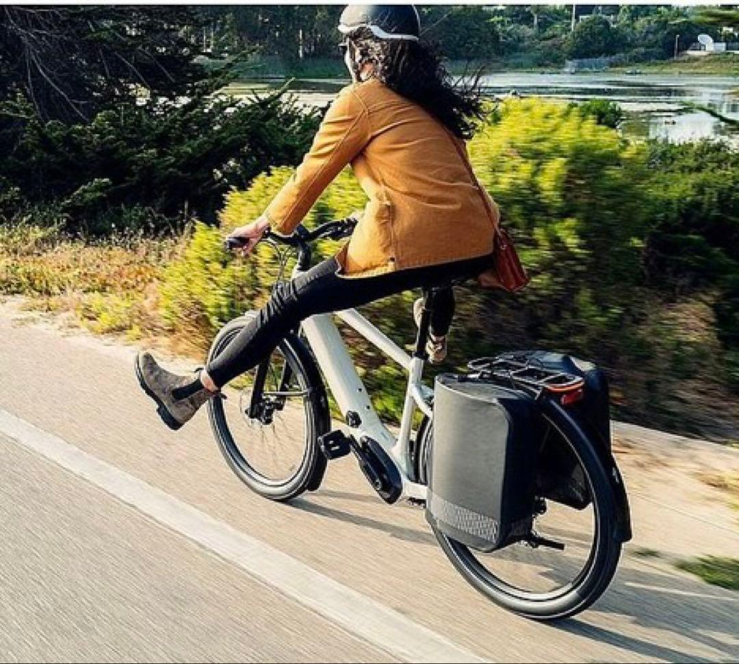 SPECIALIZED スペシャライズド サイドバック右　TAILWIND