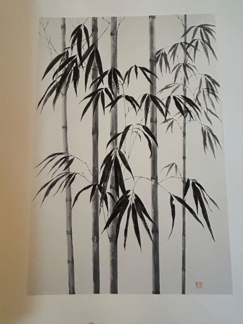 草木譜 清野茂花 水墨画集