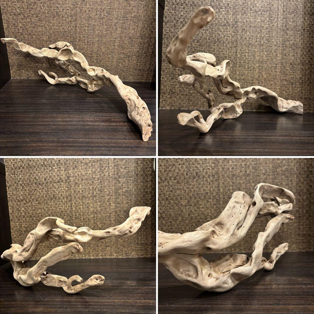 流木 うねうね系ロング　59cm