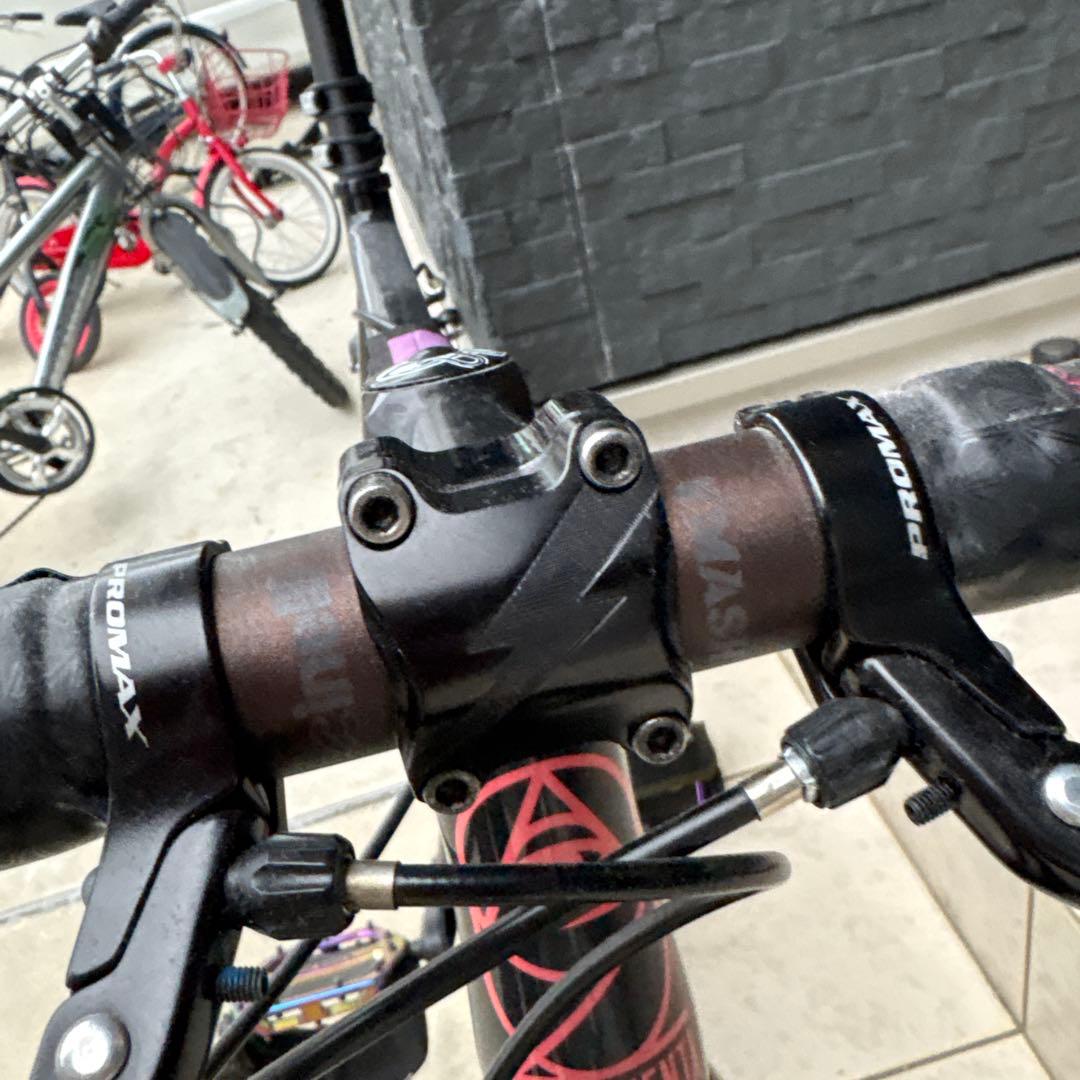 自転車本体 DOSNOVENTA LOS ANGELES \"SANTA MONICA\"