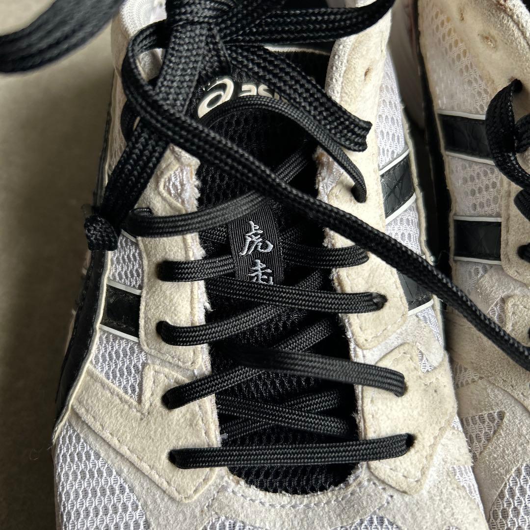 asicsランニングシューズTARTHERZEAL®4 25.5cm