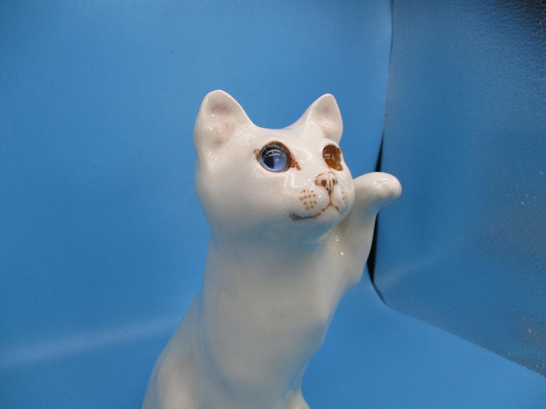 オッドアイの白猫ウィンスタンレイ ケンジントン キャット サイズ3NO5