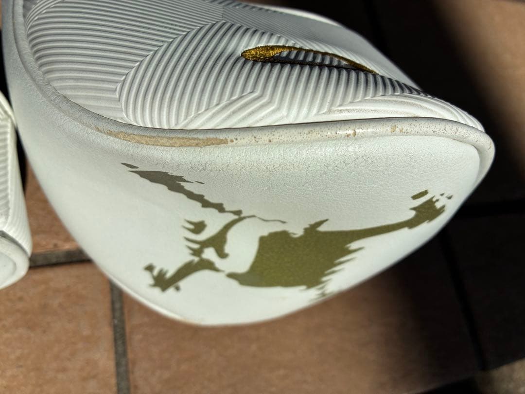激レア！OAKLEYゴルフキャディバッグ セットゴールドスカルロゴ