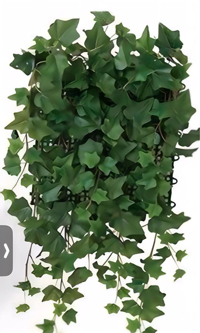 光触媒　人工観葉植物　ウォールグリーン　フェイクグリーン　壁掛け　壁面アイビー@