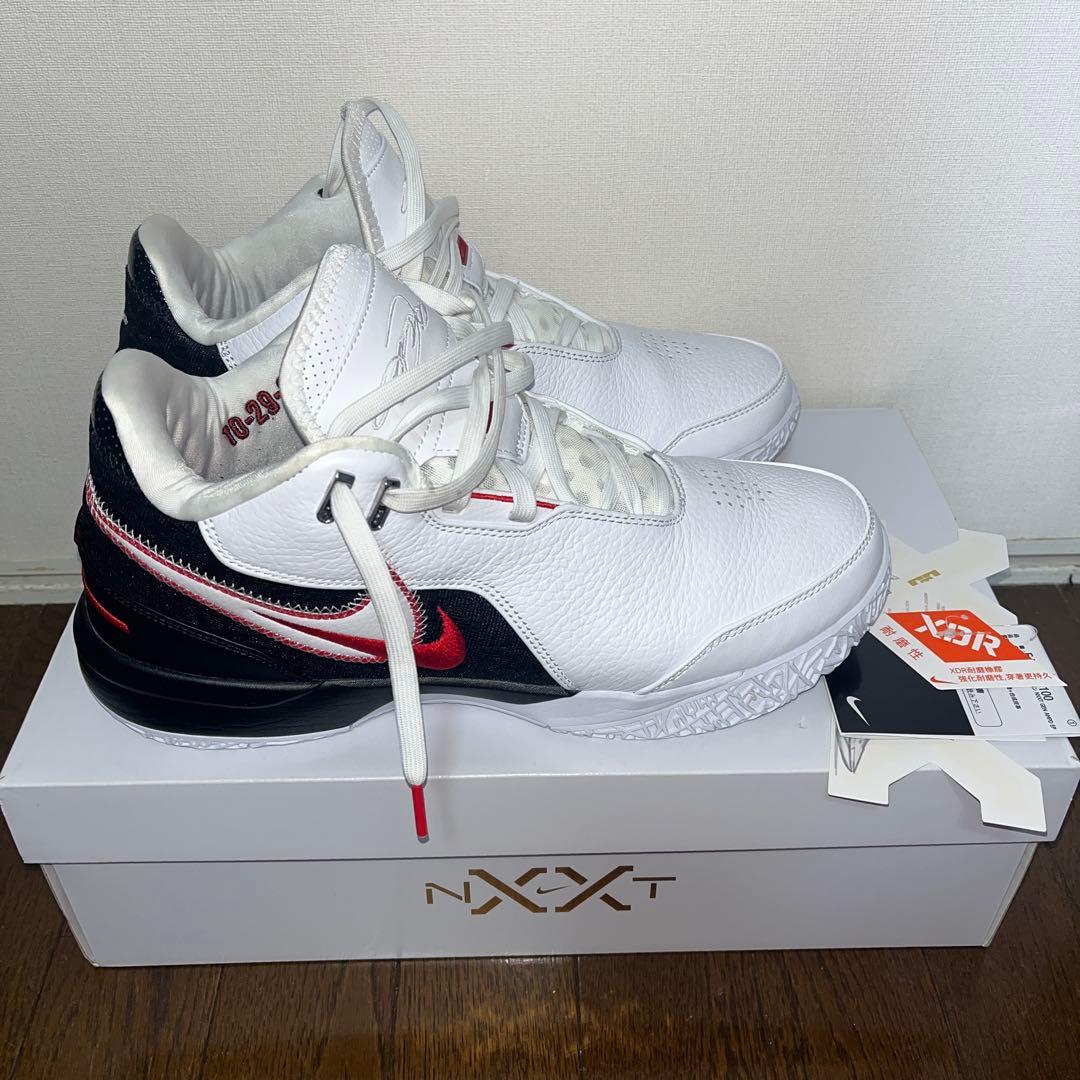 LEBRON NXXT GEN AMPD EP レブロン　ナイキ