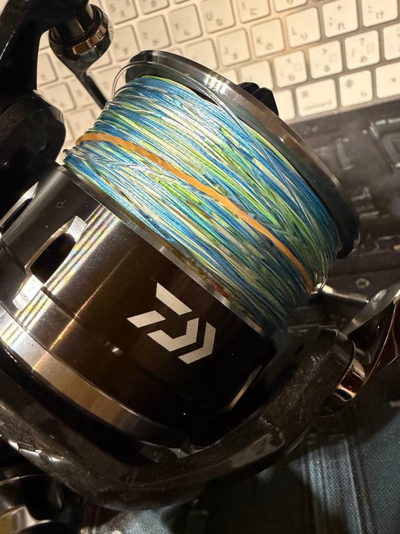 【極美品/実投なし】ダイワ 12 キャタリナ 5000（PE6号250m