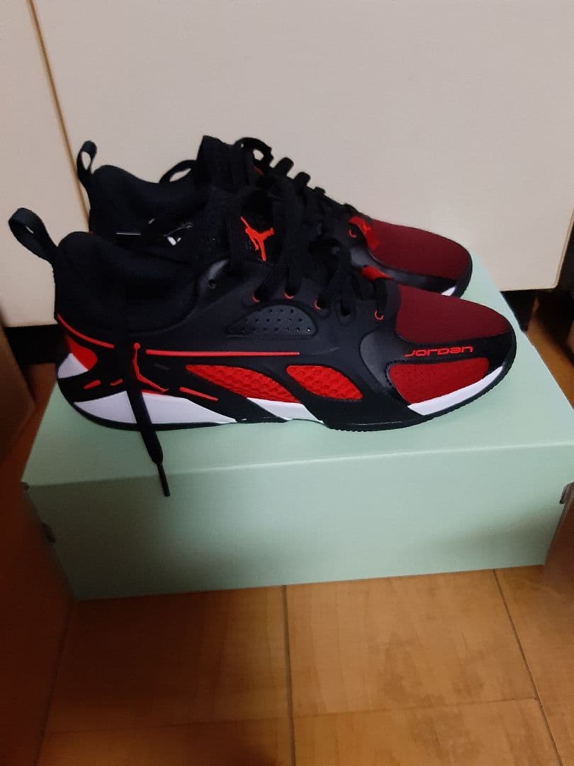 JORDAN エアーシリーズ　27cm ジョーダン