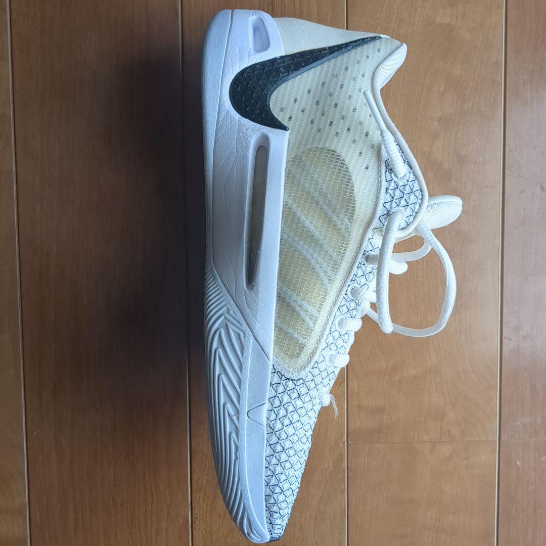 シューズ(男性用) Nike Sabrina1 26cm