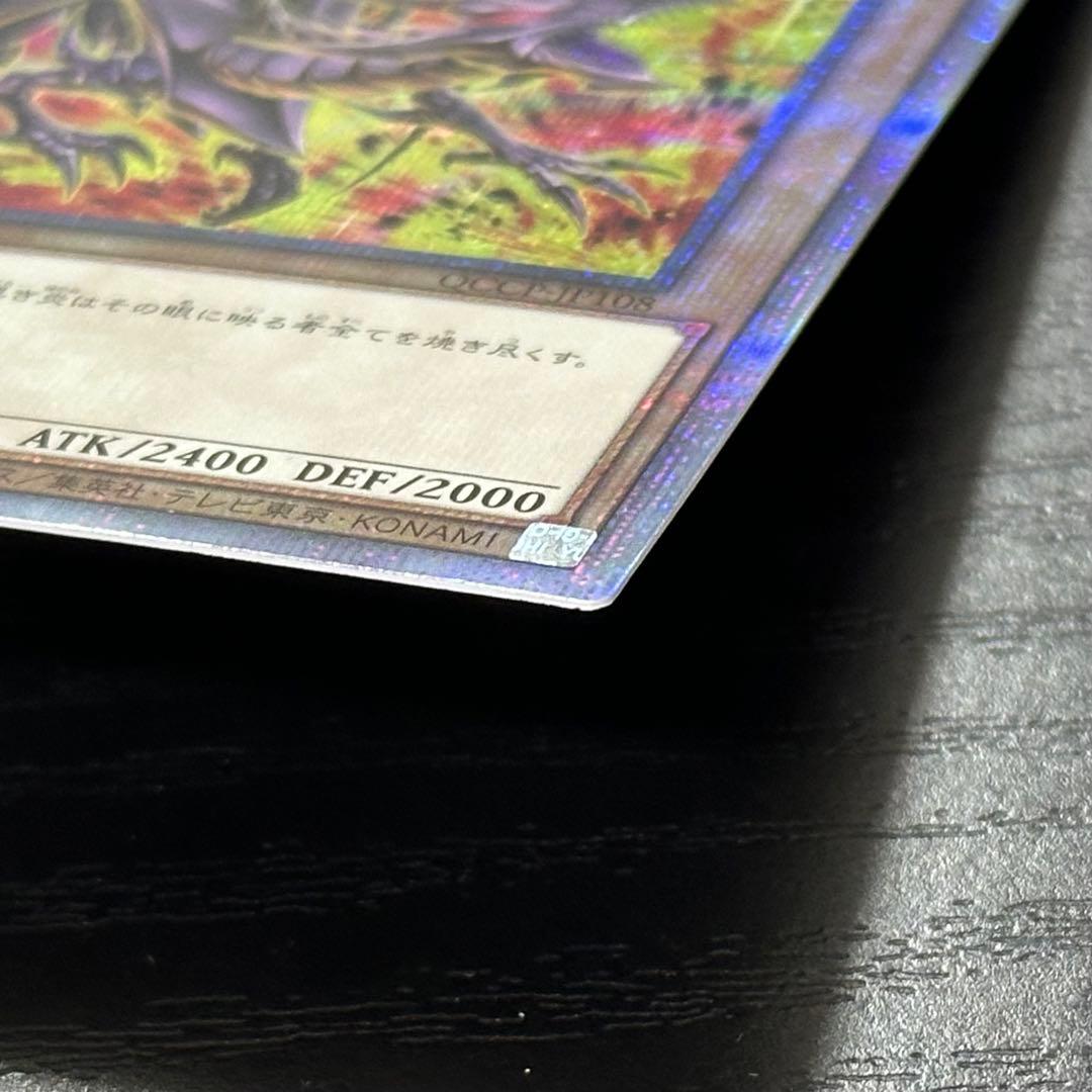 遊戯王 真紅眼の黒竜 25th 絵違い 日版
