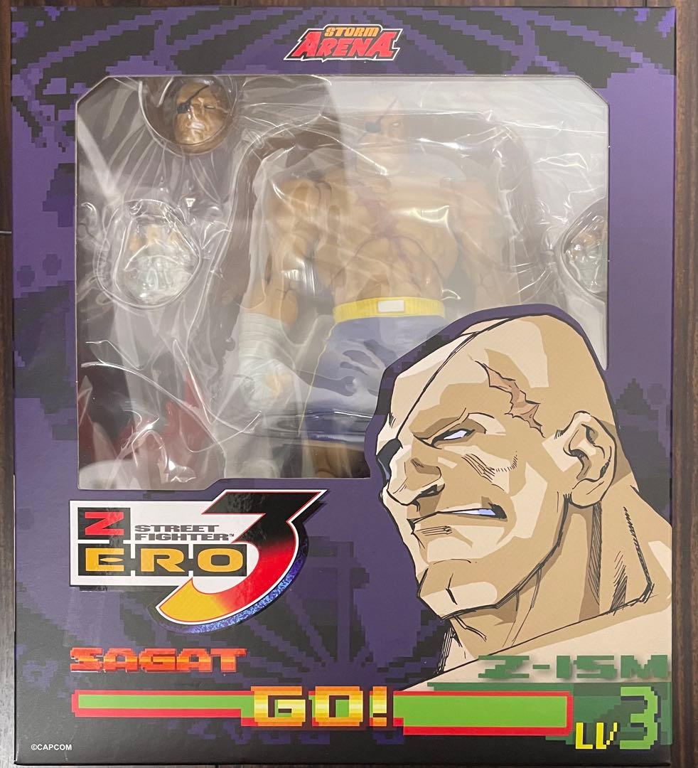 Storm Arena ストリートファイターZERO3 サガット