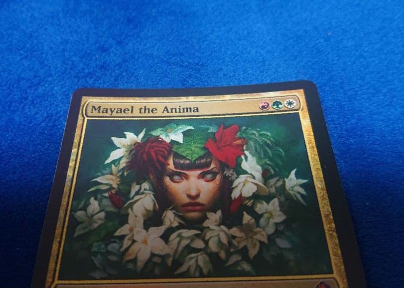 【状態NM】MTG ALA アニマのメイエル 英語 初版 FOIL